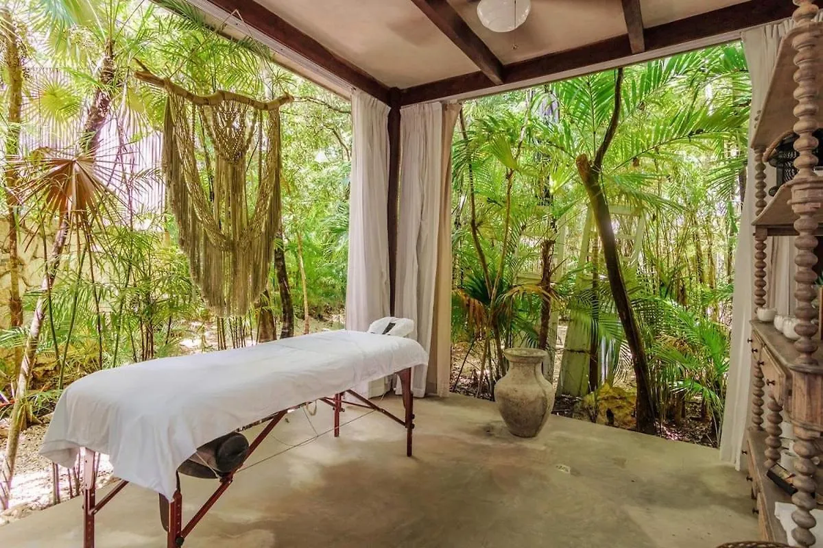 Apartment Luxurious Oasis Jacuzzi With Art Gallery And Pool Tulum