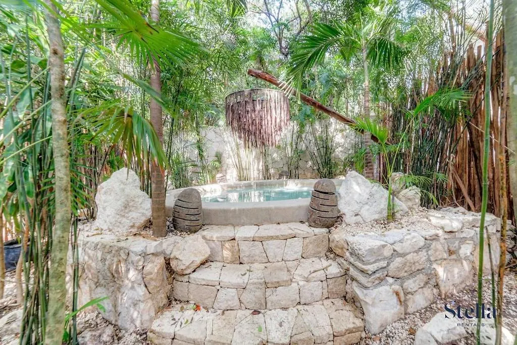 Luxurious Oasis Jacuzzi With Art Gallery And Pool Tulum